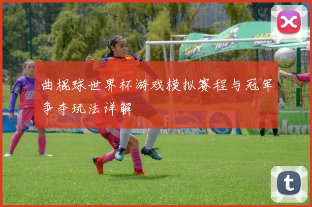 曲棍球世界杯游戏模拟赛程与冠军争夺玩法详解