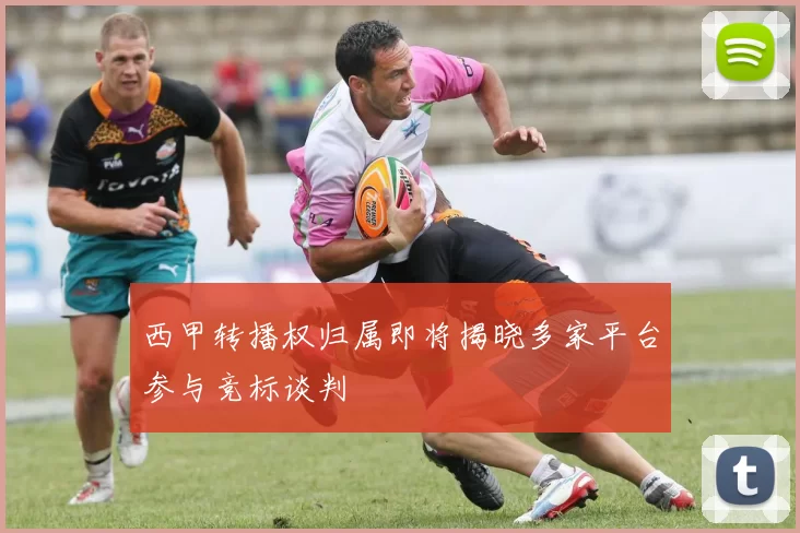 西甲转播权归属即将揭晓多家平台参与竞标谈判