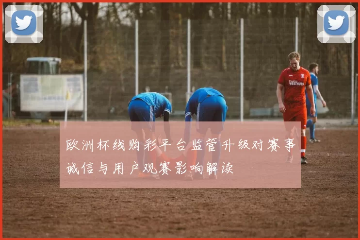 欧洲杯线购彩平台监管升级对赛事诚信与用户观赛影响解读